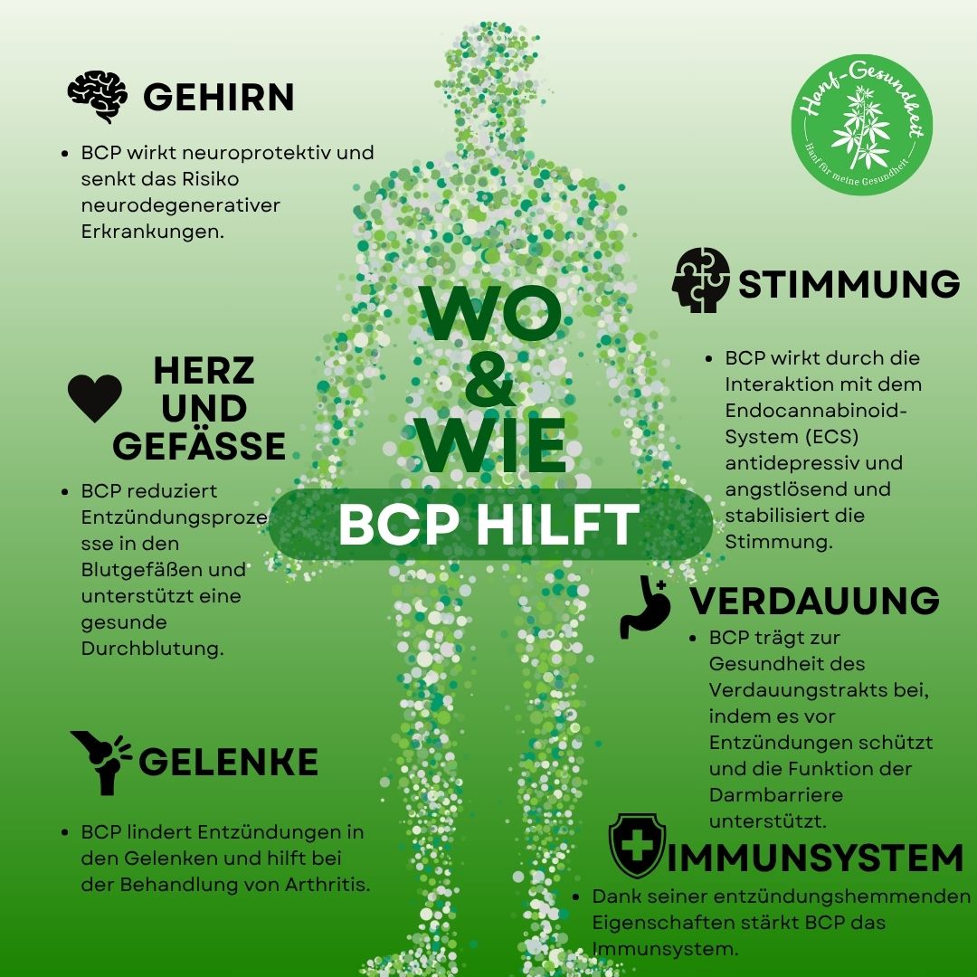 BCP HILFT